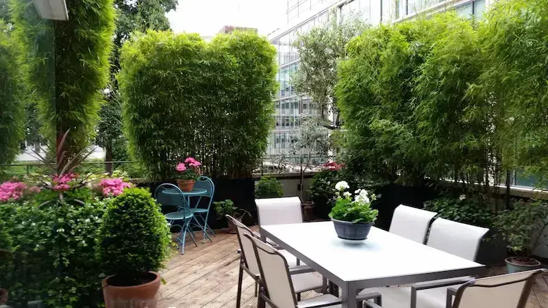 Eaton Place, Belgravia, Central London