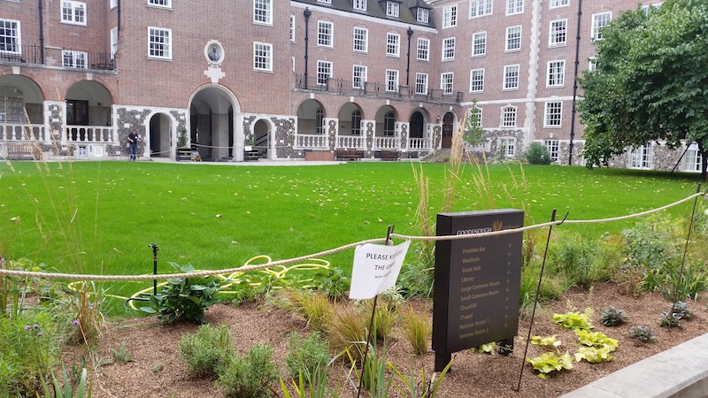 New turf laying, Goodenough College, London House