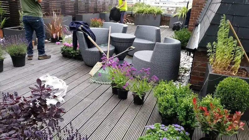 Planting supply for terrace gardens in Central London