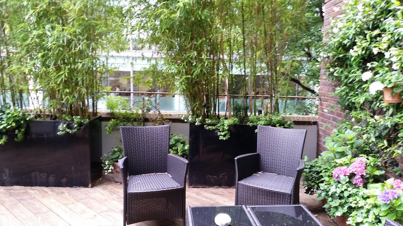 Terrace garden masters, Central London