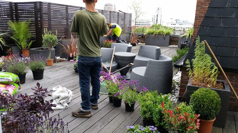 Terrace gardens improvements, Eaton Place Centarl London WC1