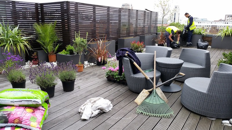 Terrace gardens specialists in Central London