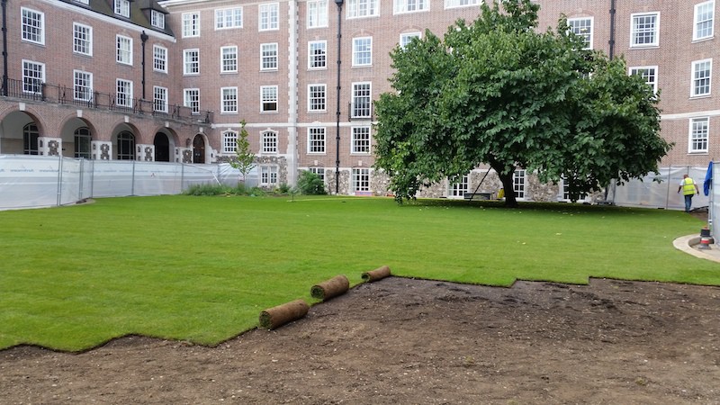 Turf supply and lawn laying, Holborn