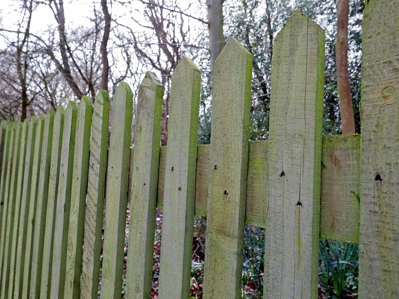 wooden garden fence ideas picket fencing