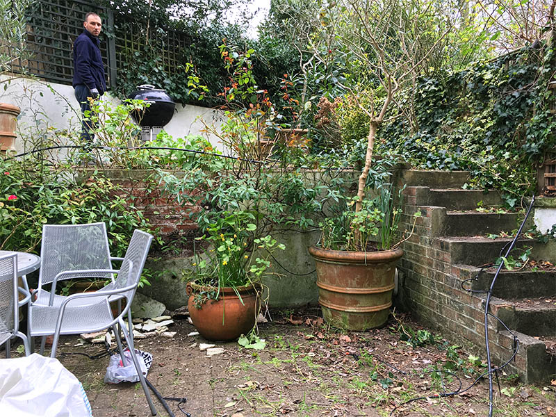 Garden tidy up and landscaping Primrose Hill NW1