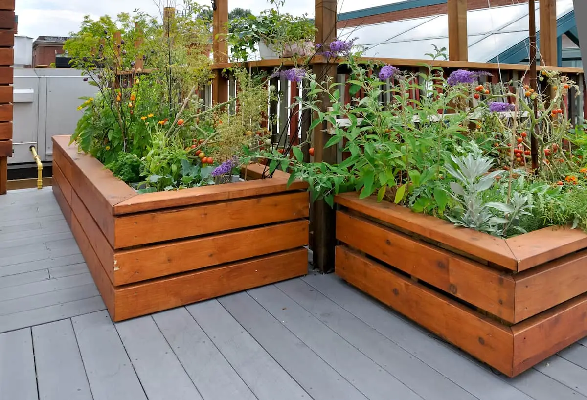 Commercial Rooftop Gardens Image