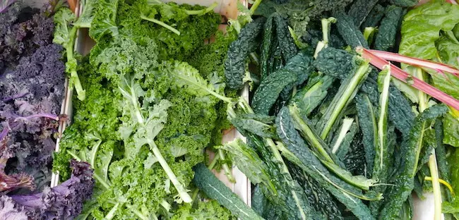 garden design trends, vegan garden