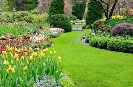London Landscaping image