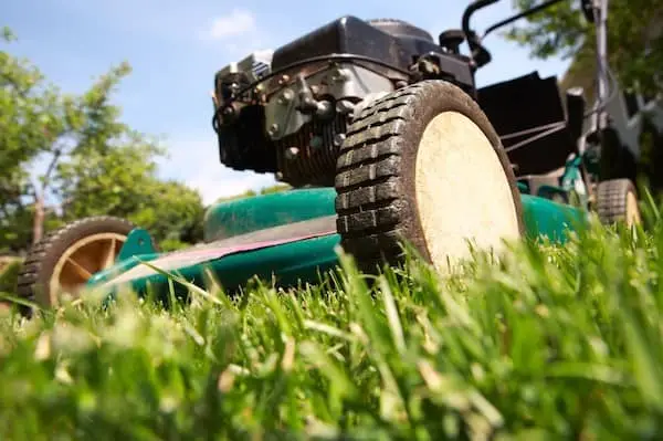 commercial grounds maintenance image