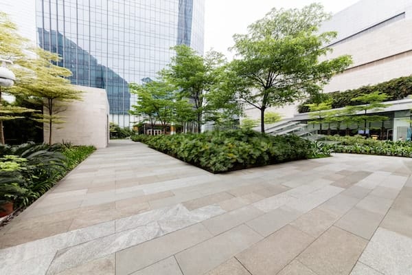 commercial soft landscaping picture