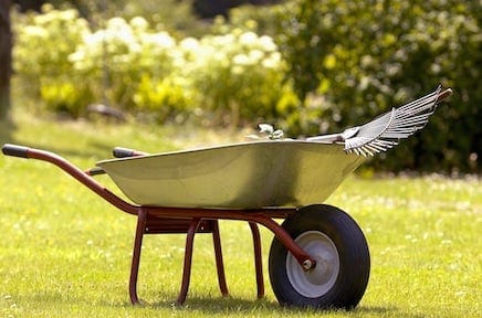 domestic gardening services