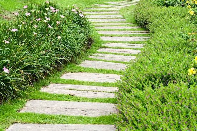 Curve Appeal Image