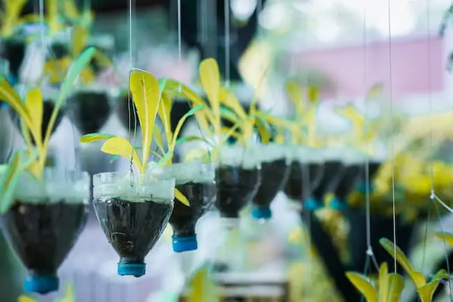 Recycled Plastic Image