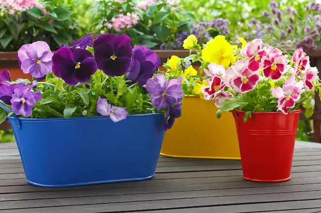 Ten Garden Design Trends 2020 - Traditional Twist Image