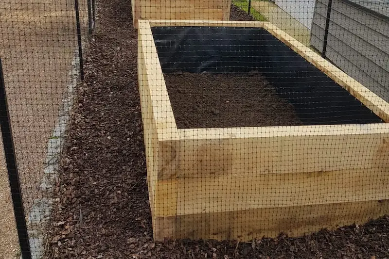 growing your own food image