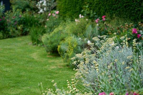 domestic landscaping north london image