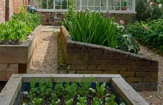 rasied beds hampstead