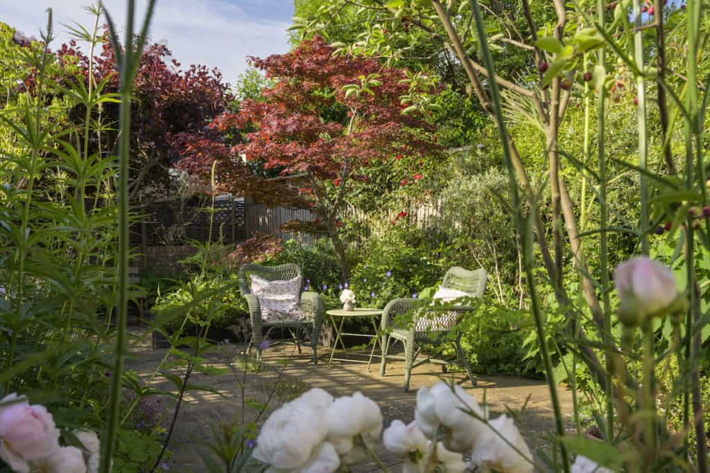 english country style garden queens park london feature image