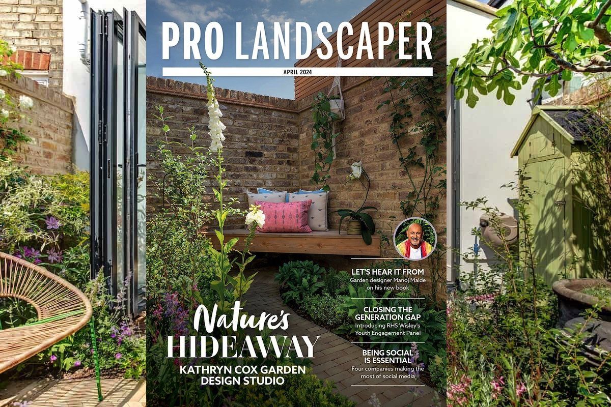 Pro-Landscaper-Naturalistic-Wildlife-Courtyard-West-Hampstead-NW6-Image