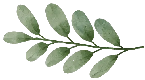 acacia-gardens-favicon-horizontal