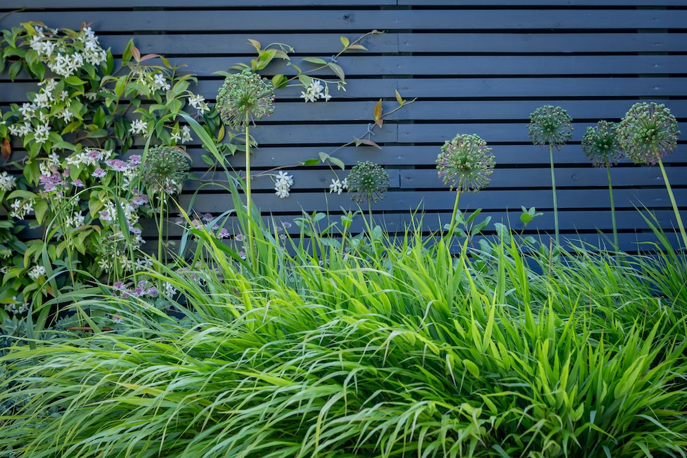 garden build highbury sarah kay design ellie walpole photography garden fence installation