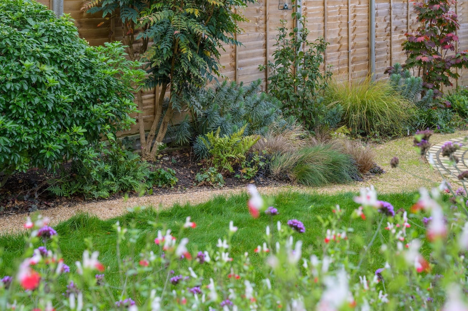 wildlife garden design and build finchley n3-garden-planting-8371