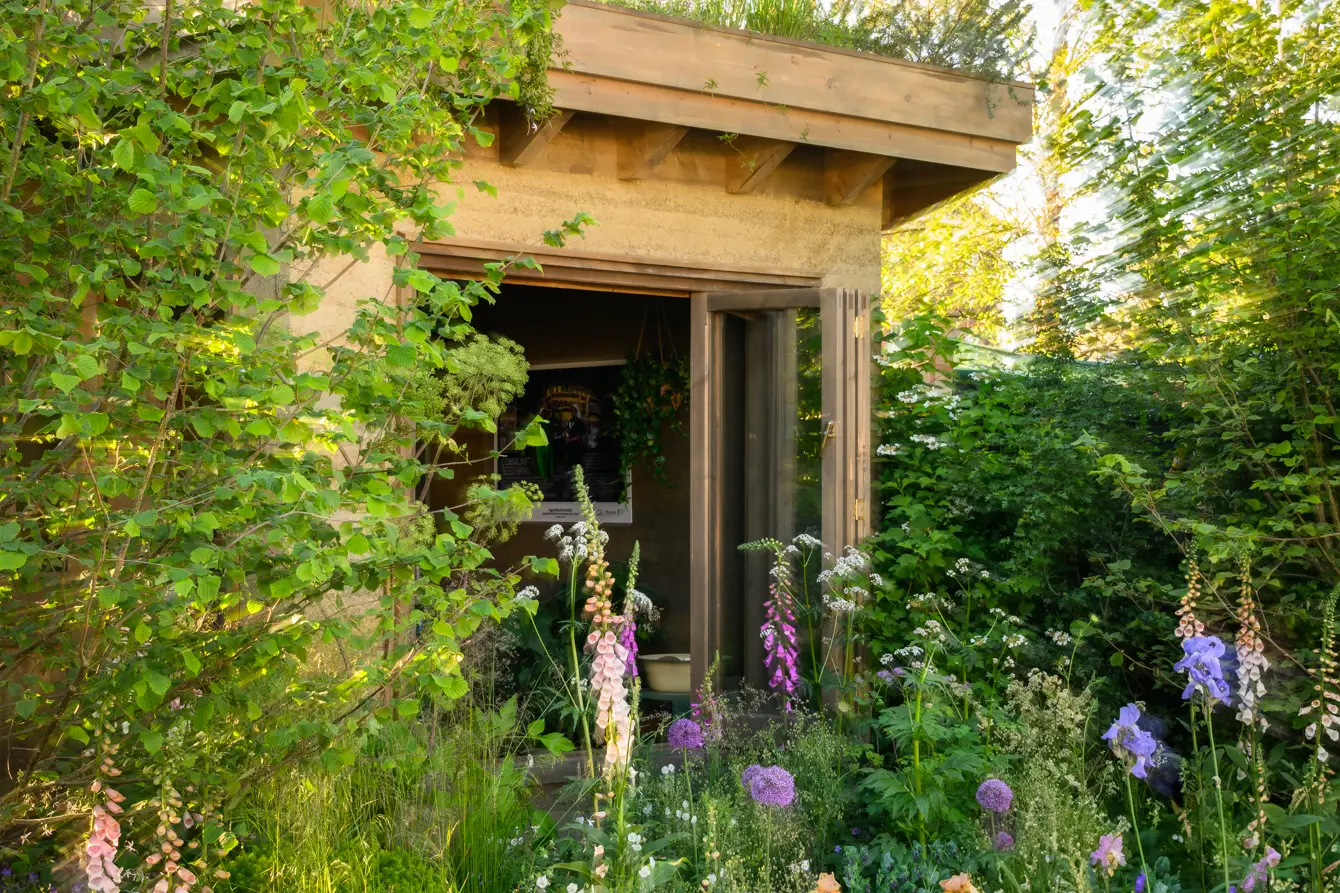 rhs chelsea 2025 gold award garden of the future feature image